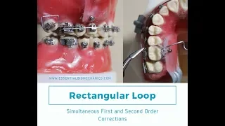 Rectangular - Loop