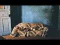 Download Lagu Xamã - Velho Fusca | Prod. Ramon Calixto (Fragmentado)