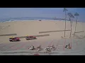 Lifeguard