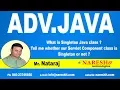 What is Singleton Java class Advanced Java Tutorial Mr Nataraj