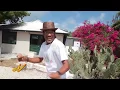 Da Conch Shack Providenciales Turks Caicos