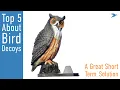 5 Things to Know About Bird Decoy Deterrents