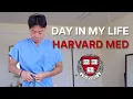 DAY IN MY LIFE AT HARVARD MEDICAL SCHOOL EMERGENCY MEDICINE