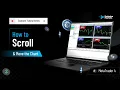 How to Scroll the Chart in MT4 Enable Disable Auto Scroll in MT4 MT4 Tutorial