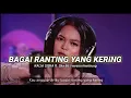 Download Lagu BAGAI RANTING YANG KERING | KALIA SISKA ft. ska 86 , kentrung