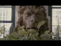 Download Lagu Cabana Presents: Portrait of a Home with Bronson Van Wyck in New York