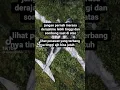 Download Lagu pesawat aja yang bisa terbang tinggi bisa jatuh,karena kuasa Allah, apalagi kesombonganmu,,