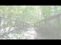 Under the Leaves | Relaxing Acoustic Guitar for Autumn