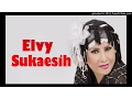 Download Lagu ELVY SUKAESIH - PERMAISURI (BAGOL_COLLECTION)