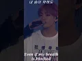 BTS Whalien52 fullscreen with lyrics