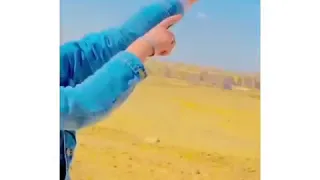 يا كوين ولابسة تاج انا لحضنك محتاج سامر المدنى جامدة اووى اوعاا يفوتكك 