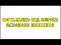 Databases SQL Server database encoding 2 Solutions