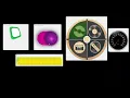 Python Widgets and UI Design using GIMP