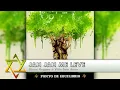 Ponto de Equilíbrio - Jah Jah Me Leve
