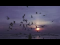 Hybrid Minds - Touch feat. Tiffani Juno