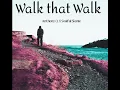Walk that walk  (Anthony Q. X Soulful Skonie