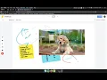 Google Jamboard Tutorial