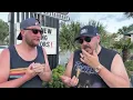 Buffalo Flats Reviews Side Lines Sports Bar and Grill Pensacola Florida
