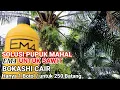 Download Lagu PEMUPUKAN KELAPA SAWIT MENGGUNAKAN EM4 || BOKASHI CAIR