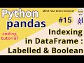 L15 Indexing in Pandas DataFrame Label-based Indexing Boolean Indexing Python Pandas Code Hindi