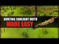 Quick Guide to Hunting Sunlight Moths in OSRS Hunter Guide Hunters Rumours