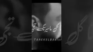 انا عمري في يوم ما جرحتك احمد عامر 