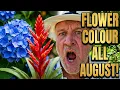 STOP Grow These 10 Plants for Colour All August