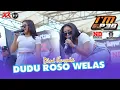 Download Lagu Dini Kurnia - Dudu Roso Welas ( Pemuda Patung Pacul X Nanda Audio Jember )