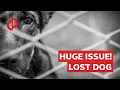 Vetco Clinics reviews I can t believe PETCO let this happen