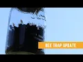 Homemade Bee Trap 4 Month Update Carpenter Bees