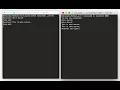 echo server demo