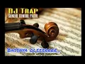 Download Lagu RYA.  Dj trap gundul gundul pacul. dj karnaval..