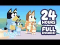LIVE 24 HOURS Bluey Episodes in Best Bluey Adventures 18 FULL EPISODES Bluey