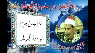 الشيخ محمود سالمان الحلفاوى ما تيسر من سورة النمل الابداااااااااااااااااااااع HD  الشيخ محمود سالمان الحلفاوى ما تيسر من سورة النمل الابداااااااااااااااااااااع HD