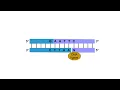 Pairing of DNA fragments Formation of recombinant DNA Animation