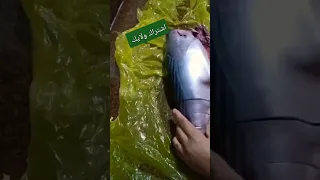 سمك التونه وجماله دندنها
