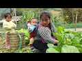 A poor, homeless single mother with her two small children harvests vegetables and guavas to sell