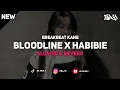 Download Lagu DJ BLOODLINE X HABIBIE BREAKBEAT ( Slowed \u0026 Reverb )
