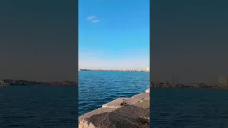 صباح ابيض وقشطه Follow اكسبلور Youtube ترند Like 