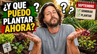 ¿Y Que puedo plantar ahora? || La Huertina De Toni