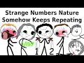 Strange Numbers Nature Somehow Keeps Repeating