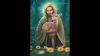 اروح للرضا واليوم ادق بابه الامام الرضا علية  السلام دندنها
