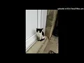 01 - Gala - Freed From Desire (prod. Molella, Phil Jay)