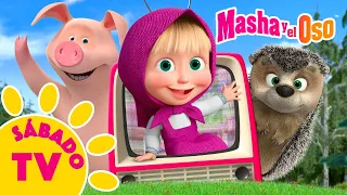 Sábado TV 🏆😄 Mejores episodios 7 Temporada 🍿🔝Colección de dibujos animados📺Masha y el Oso Castellano