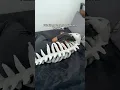 comfort item highly recommend