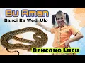 Download Lagu HIDUP DIANTARA DUA CINTA || SALEHO || BUAMAN