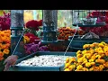 🔴LIVE Peaceful Fall Cottage Bird Feeder: Song Birds, Cardinals, Nature Sounds, Sleep, Cat TV