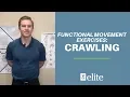 Functional Exercises Crawling Elite Physical Therapy Kansas City