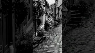 تايه في الأماكن ناس بتمشي وانت ساكن   جديد نبيل  حالات واتس  ترند  اغاني  اكسبلور        دندنها