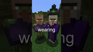 What Is The Swamp Villager In Minecraft 